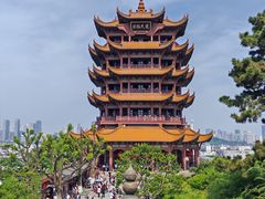 -小凤庭·地道湖北菜武昌鱼·藕汤(38年黄鹤楼店)