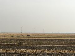 -长兴岛郊野公园农场食堂