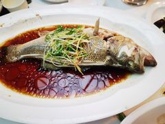-眉州东坡(亚运村店)