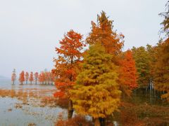 -四明湖
