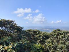 -海南铜鼓岭景区