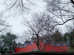 -乌山风景区
