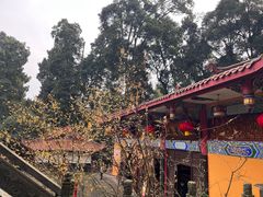 -都江堰普照寺