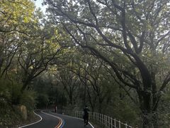 -萨尔浒风景区