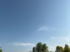 -塘沽森林公园