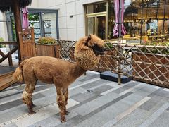 -北京远航国际酒店