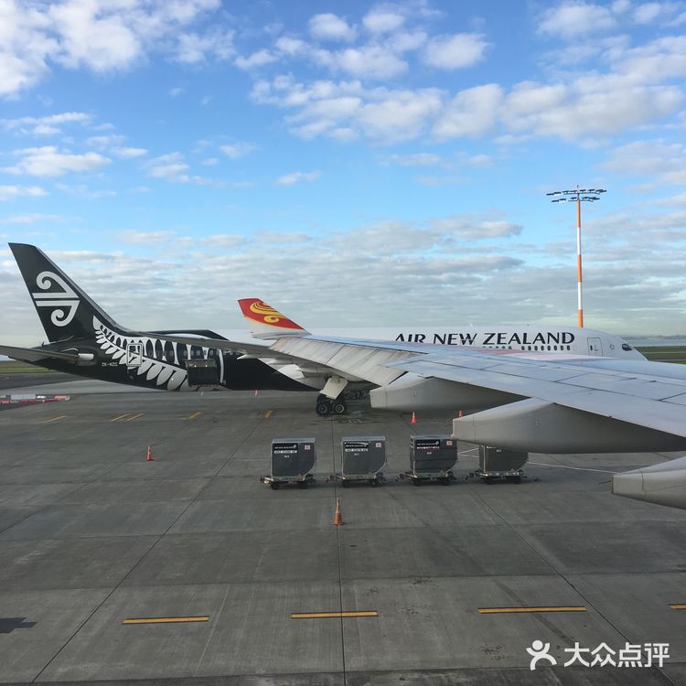 奥克兰国际机场，简介位于新西兰的奥克兰市芒格雷市郊