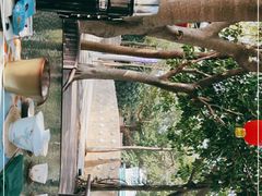 -狐尾山公园