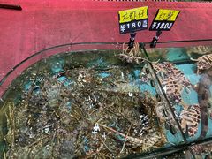 -天天海鲜城·海鲜大排档(新溪店)