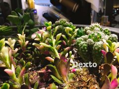 -Maxpoint Kitchen 西餐咖啡(乐峰广场店)