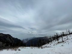 -朱雀国家森林公园