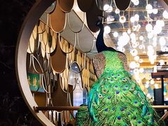 大堂-雀蓝川菜(奥体广场店)