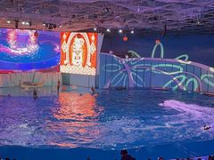 -海合安青岛极地海洋公园