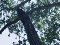 -北京麋鹿生态实验中心