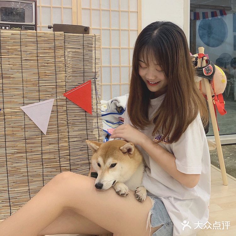 探店 | 广州首家柴犬咖啡厅🐶被狗狗萌炸了