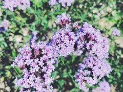 -杭州城北体育公园