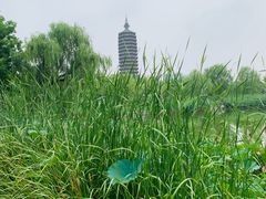 -西海子公园