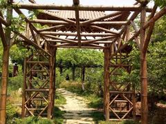 -白马涧龙池景区