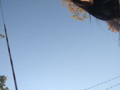 -西贝(金桥店)