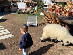 -HERRE·FARM 赫尔露营农场·团建聚会包场