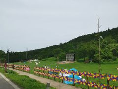 -武陵山森林公园