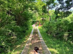 -青龙山国家森林公园