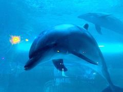 -波塞冬旅游度假区