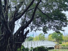 -光明港公园