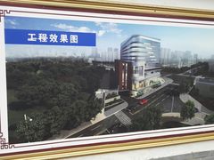 -重庆彩云湖湿地公园