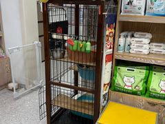 -四月宠物医院·猫专科·心脏专科·内科(转塘店)