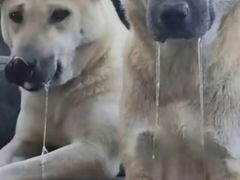 -老乡鸡(融科天地店)