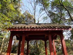 -西湖风景区十里琅珰-五云山
