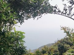 -海南铜鼓岭景区