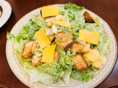 凯撒沙拉-萌啊莫·素食天津菜·西餐(五大道店)