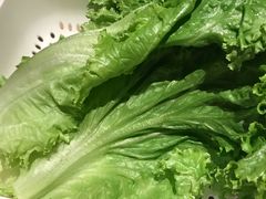 生菜-新石器烤肉(中房金谊广场店)