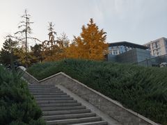 -玲珑塔公园