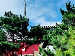 -泰山风景名胜区