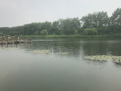 -溱湖国家湿地公园