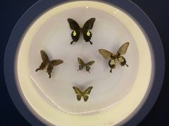 -下渚湖国家湿地公园科普馆