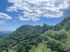 -大岭沟猕猴桃谷风景区