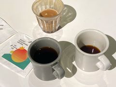 哥斯达黎加-sugarman espresso素饮糖人高新咖啡工厂