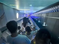 -白鹤梁水下博物馆