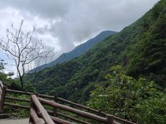 -大鄣山卧龙谷景区