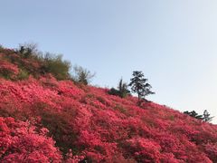 -木兰云雾山