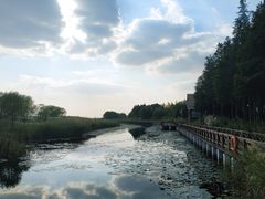 -太湖湖滨国家湿地公园-停车场