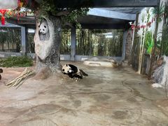 -海南热带野生动植物园
