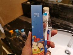 -成都保利公园皇冠假日酒店(熊猫基地店)