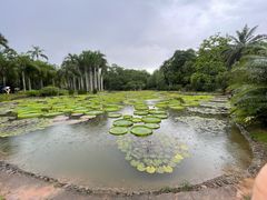 -中国科学院西双版纳热带植物园