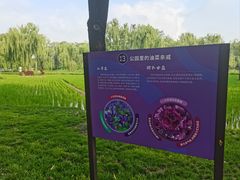 -北坞公园