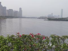 -厦门园林博览苑